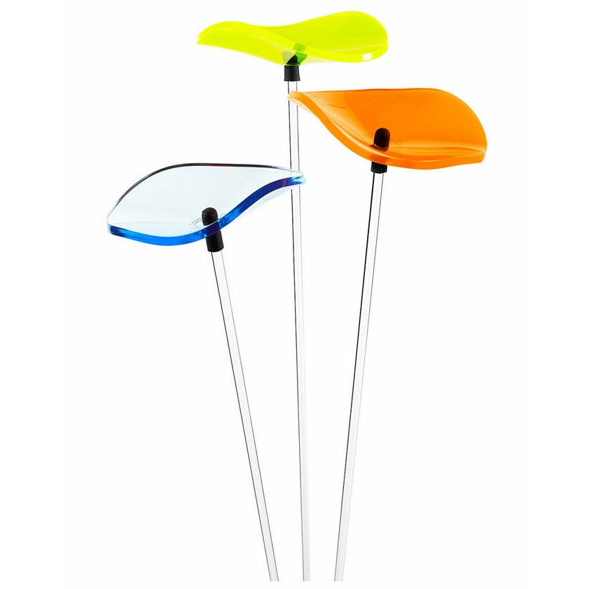 Cazador del Sol Sonnenstrauß Lucille " Das Original"