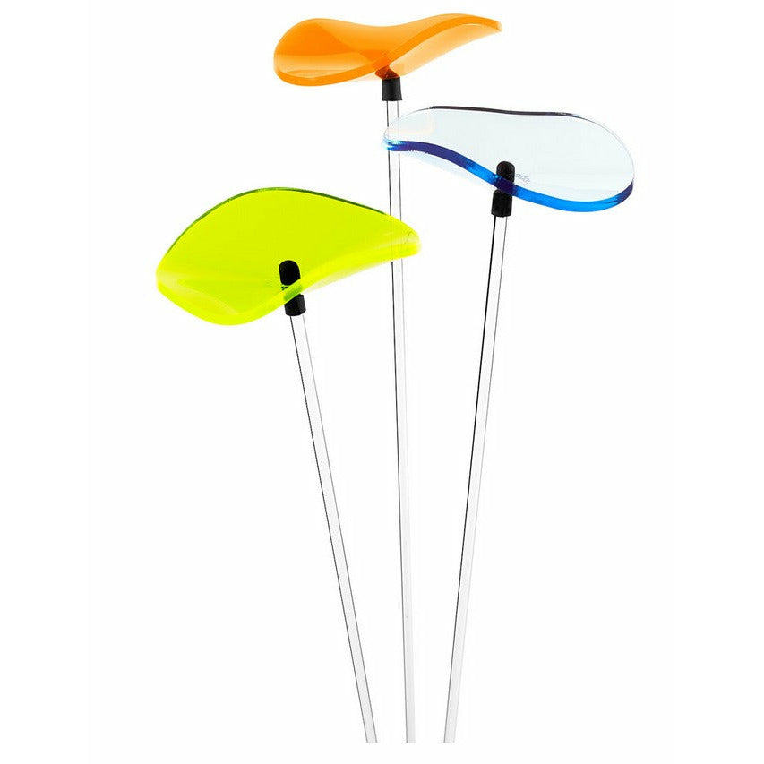 Cazador del Sol Sonnenstrauß Lucille " Das Original"