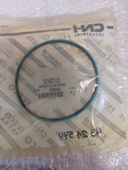 Case IH Gleitring 5172413 