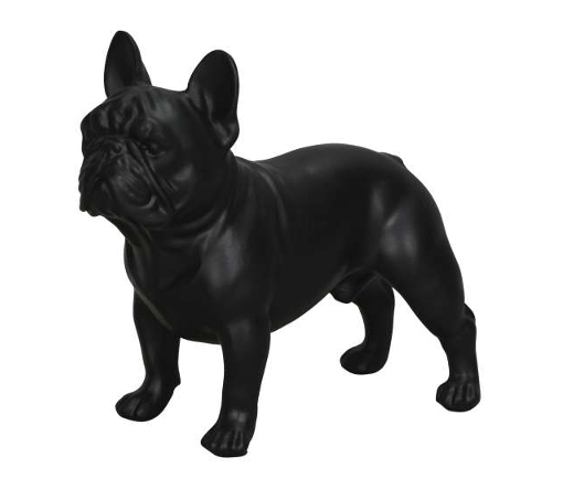 Französische Bulldogge