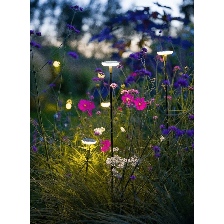 in-Lite Wegeleuchte für draußen 12 Volt "Sway Black" 100cm Stab