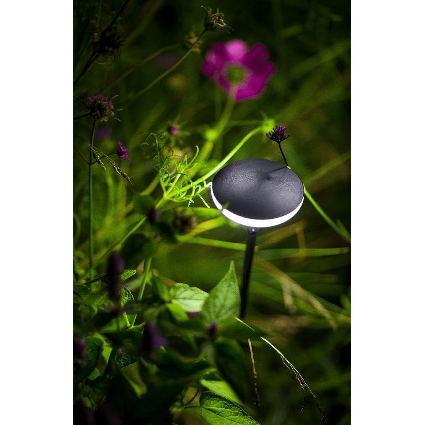 in-Lite Wegeleuchte für draußen 12 Volt "Sway Black" 100cm Stab